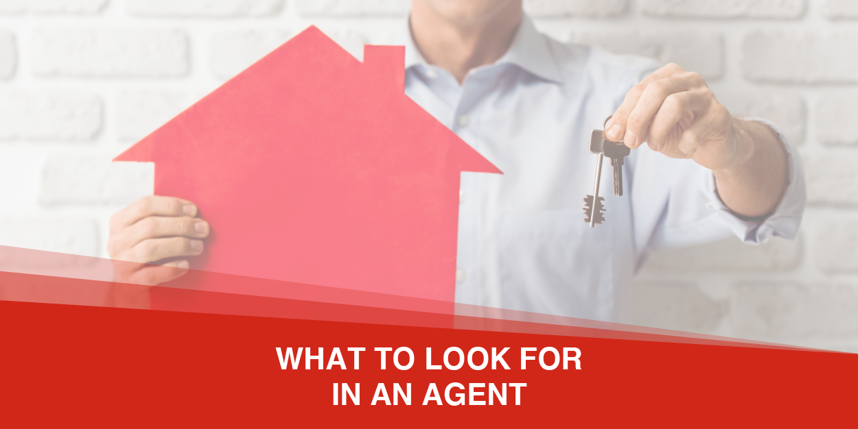 What To Look For In A Real Estate Agent If You Are Buying Or Selling